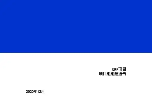 ERP项目组组建通告