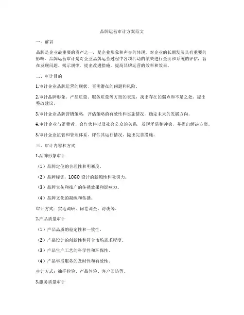 品牌运营审计方案范文