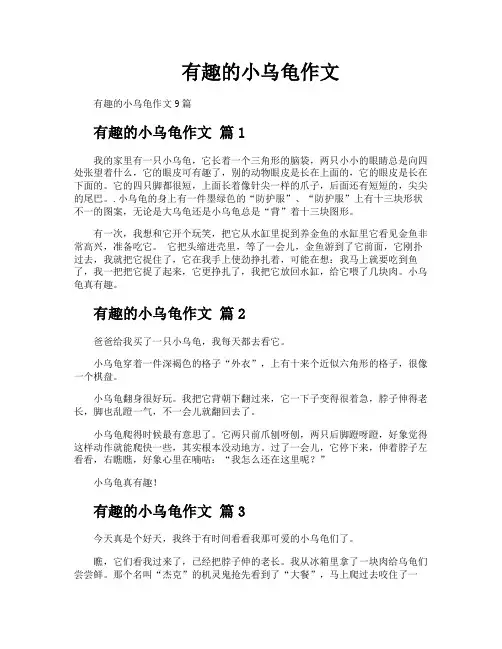 有趣的小乌龟作文