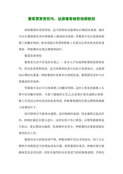 葡萄需要剪枝吗,盆栽葡萄修剪视频教程