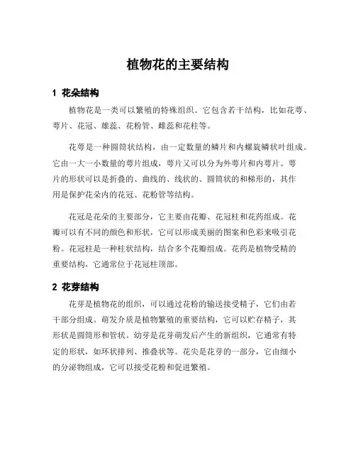 植物花的主要结构