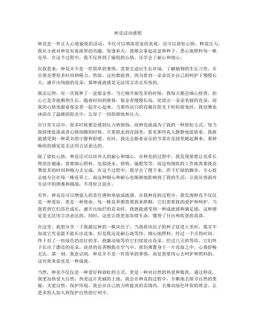 种花活动感想