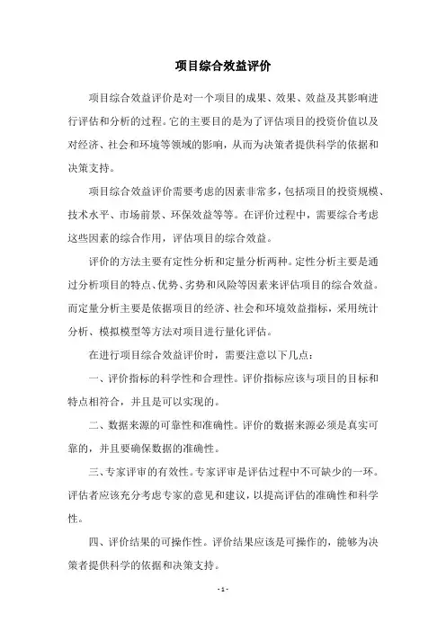 项目综合效益评价