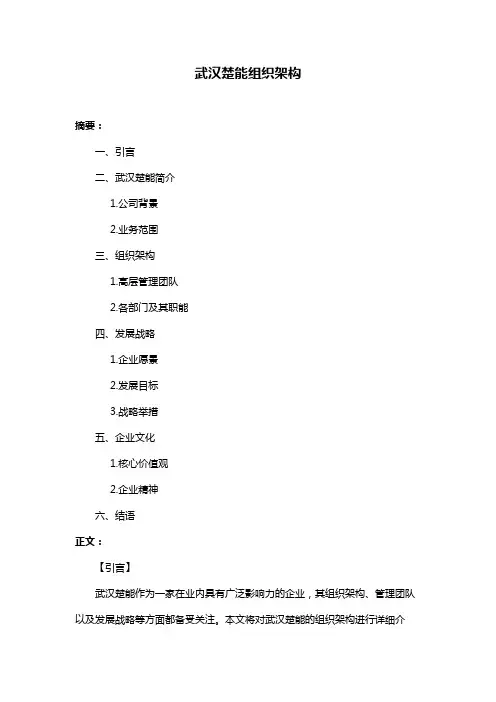 武汉楚能组织架构