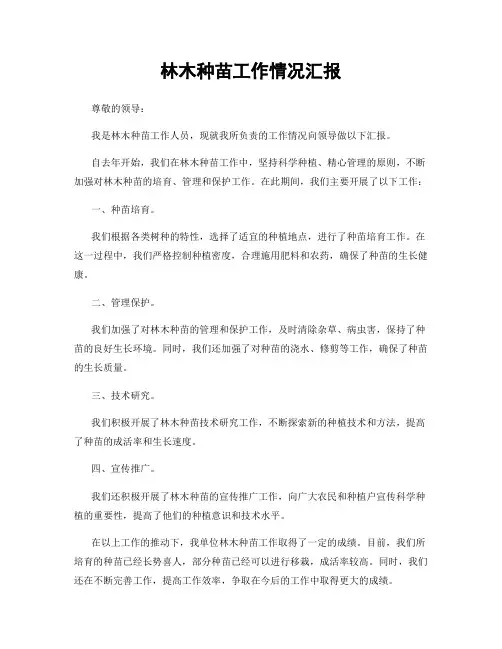 林木种苗工作情况汇报