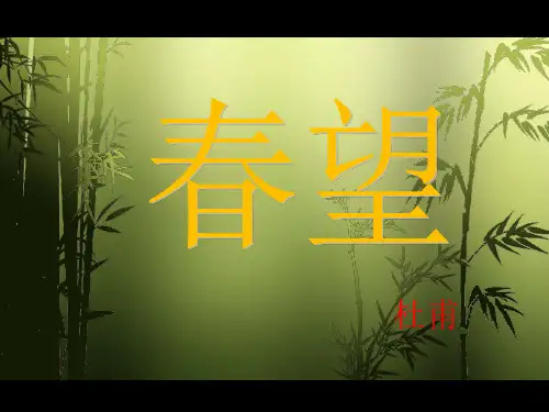部编版语文八年级上册第25课《诗词五首——春望》课件
