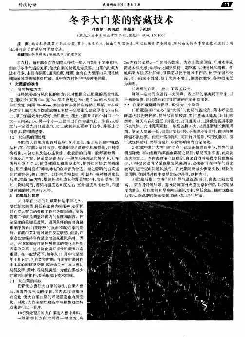 冬季大白菜的窖藏技术
