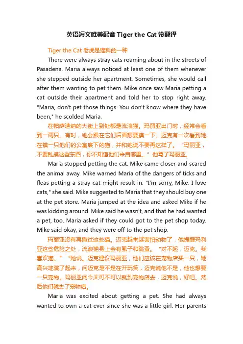 英语短文唯美配音TigertheCat带翻译