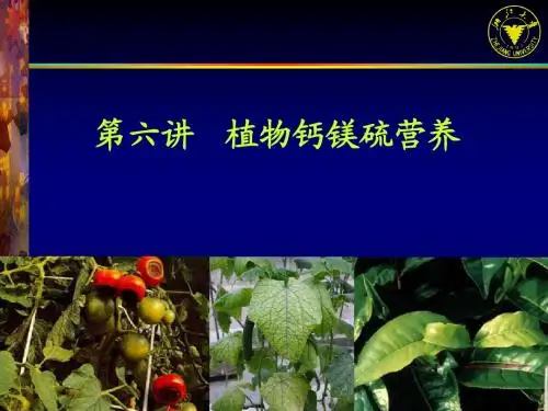 土壤学与植物营养-第六讲-植物的钙镁硫营养