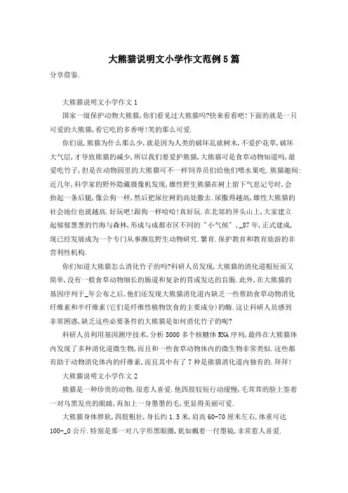 大熊猫说明文小学作文范例5篇