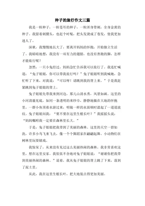 种子的旅行作文三篇