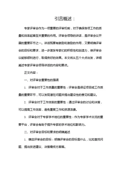 专家评审会领导讲话稿