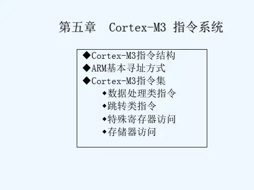 CORTE-M3指令系统 PPT
