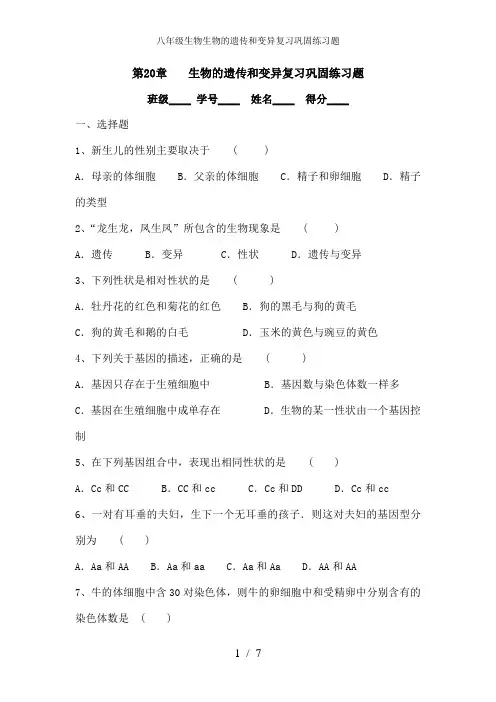 八年级生物生物的遗传和变异复习巩固练习题