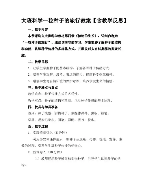 大班科学一粒种子的旅行教案【含教学反思】