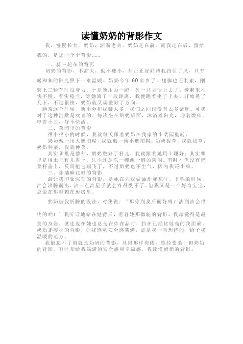 读懂奶奶的背影作文