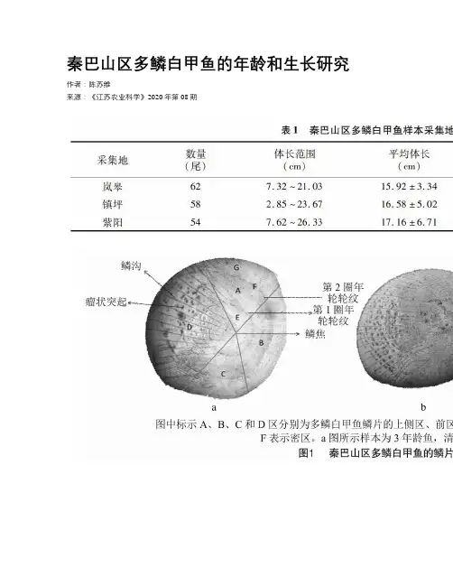 秦巴山区多鳞白甲鱼的年龄和生长研究