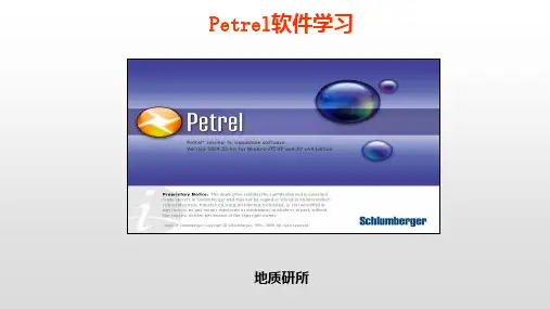 Petrel软件学习