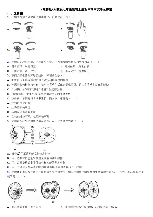 (完整版)人教版七年级生物上册期中期中试卷及答案