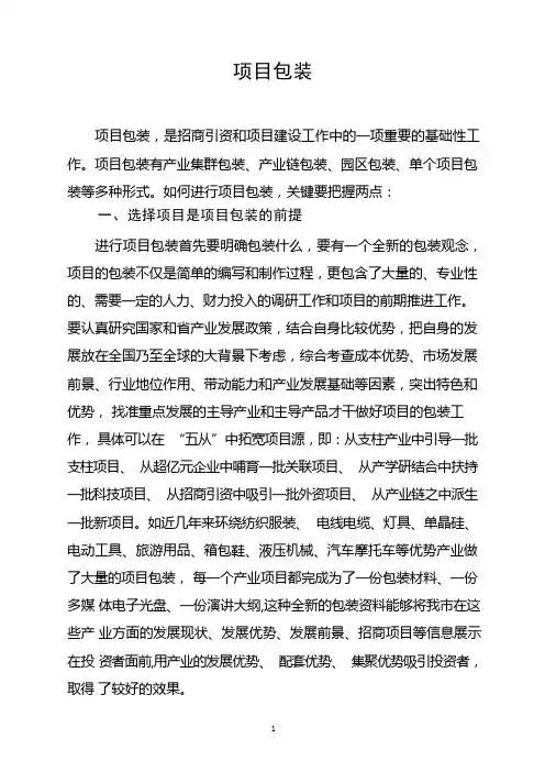 项目的包装