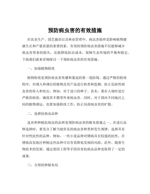 预防病虫害的有效措施