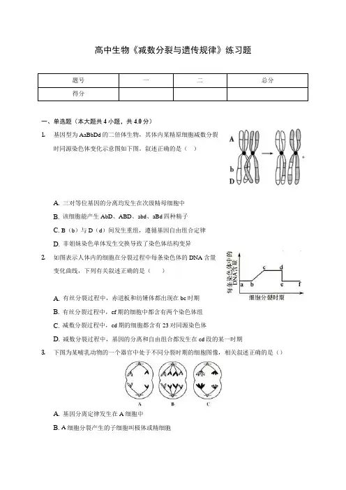 高中生物《减数分裂与遗传规律》练习题(含答案解析)