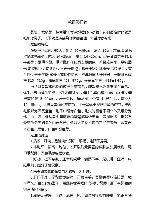 龙猫怎样养
