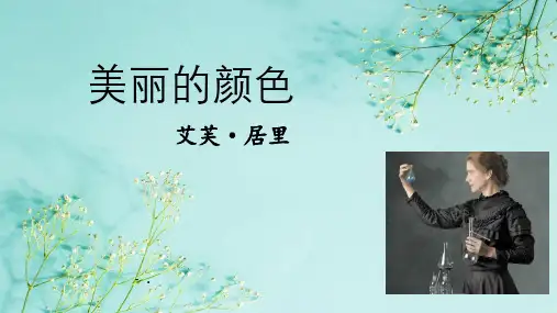 《美丽的颜色》PPT教学课件