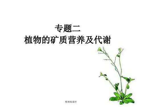 高级植物生理学—专题二ppt课件