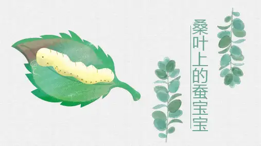 《桑叶上的蚕宝宝》少儿黏土橡皮泥创意美术PPT课件