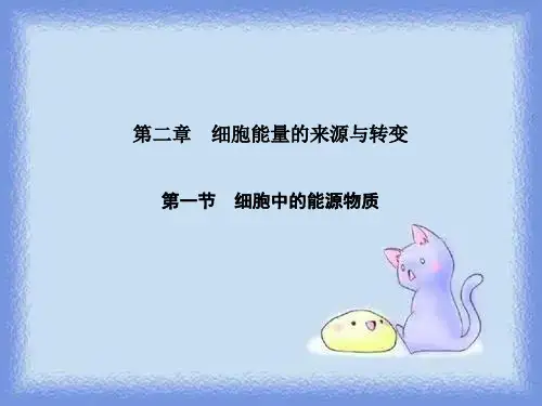 中图版生物必修1第一节《细胞中的能源物质》ppt