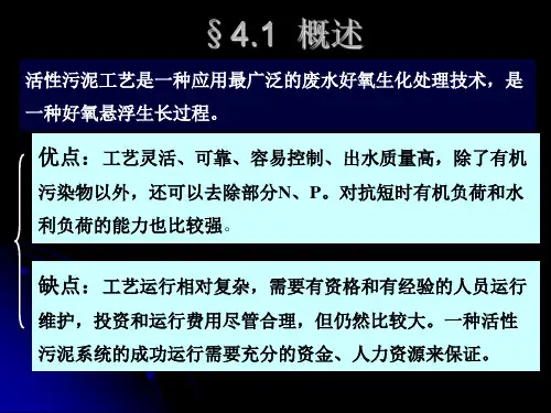 水污染控制工程 活性污泥