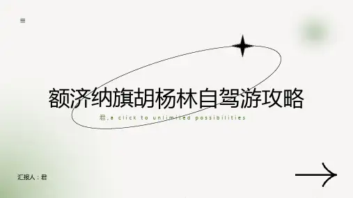 额济纳旗胡杨林自驾游攻略
