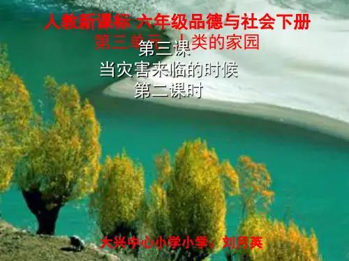 品德与社会六年级下册当灾害来临时课(课堂PPT)