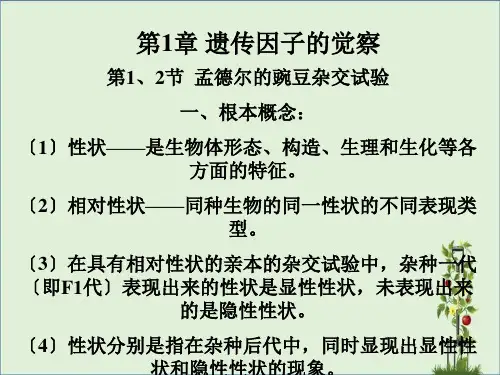 人教版生物必修2复习要点