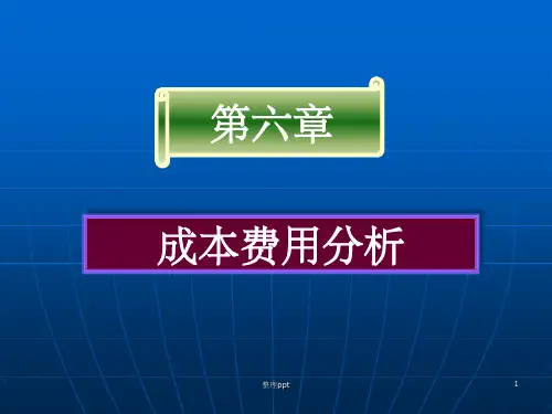 《成本费用分析》PPT课件
