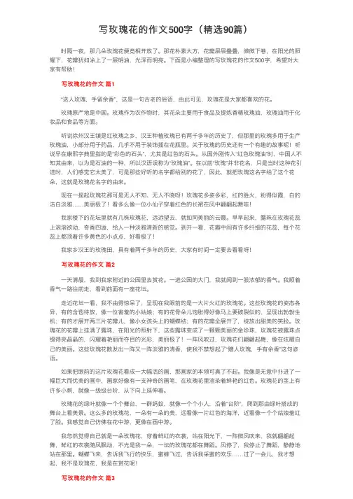 写玫瑰花的作文500字（精选90篇）