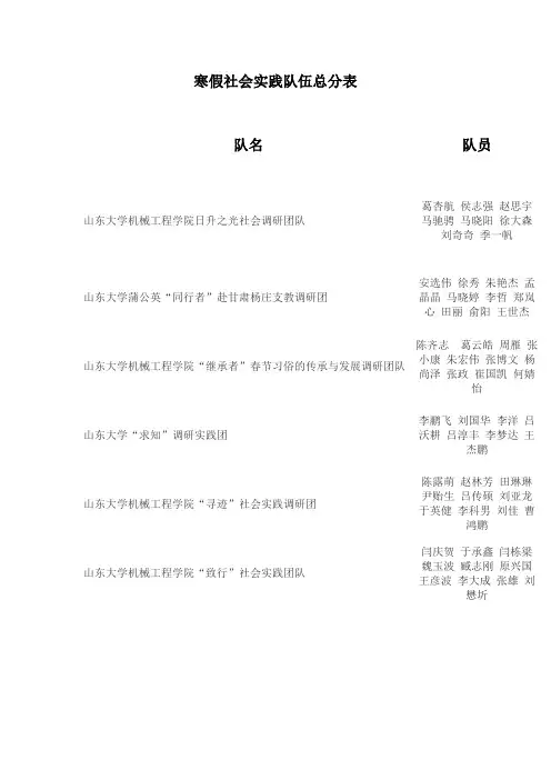 寒假社会实践队伍总分表
