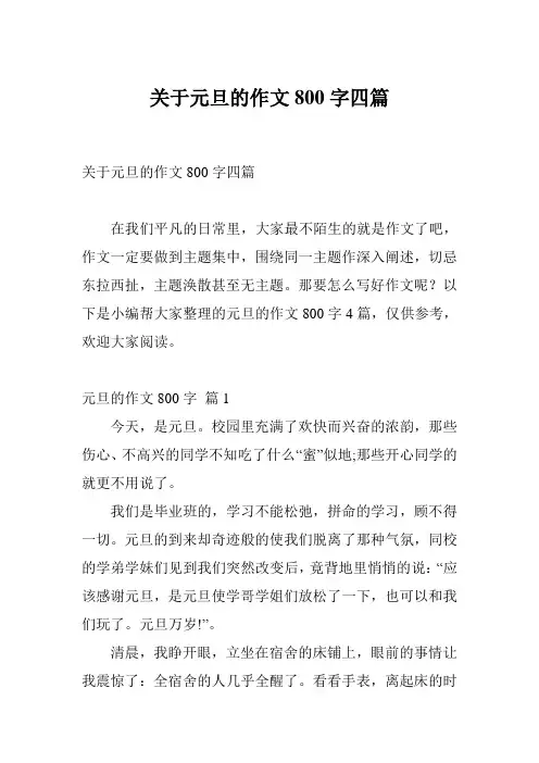 关于元旦的作文800字四篇