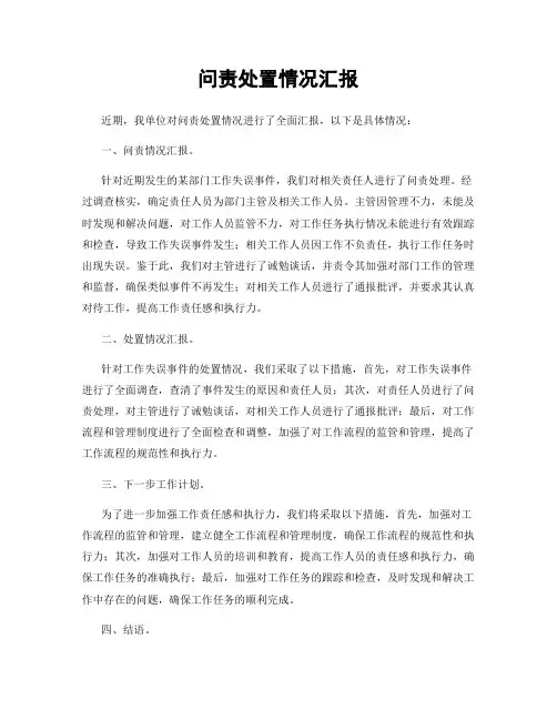 问责处置情况汇报