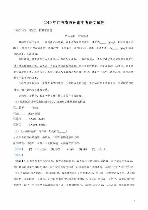 2019年江苏省苏州市中考语文试题（解析版）