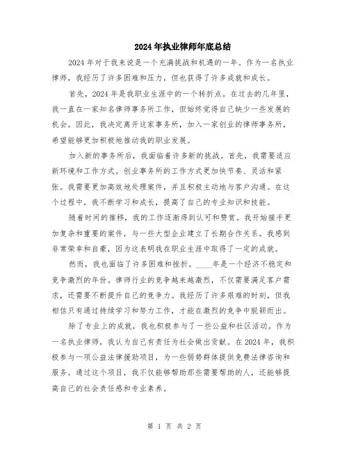 2024年执业律师年底总结
