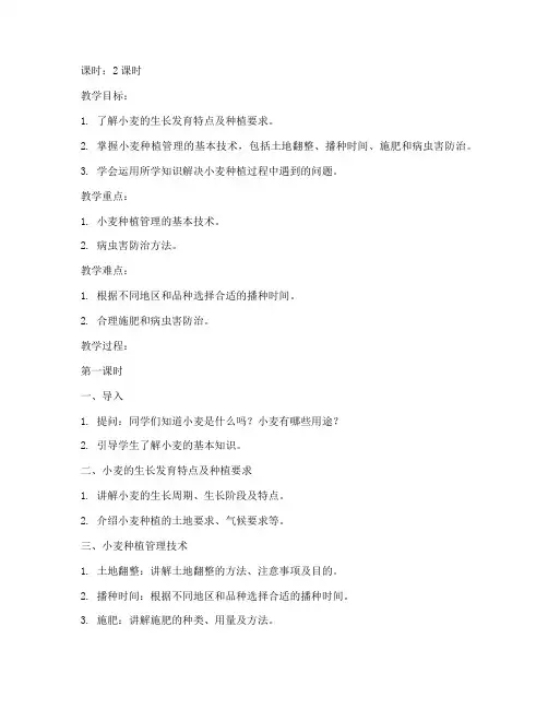 小麦种植管理技术教案
