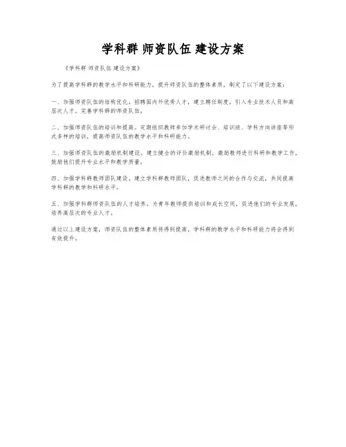 学科群 师资队伍 建设方案