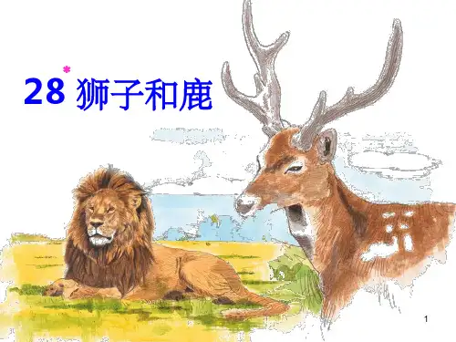 优秀完整狮子和鹿1ppt课件