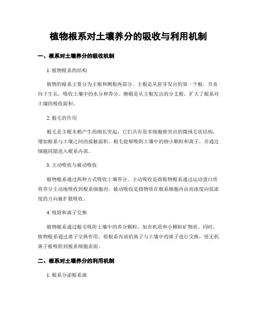 植物根系对土壤养分的吸收与利用机制