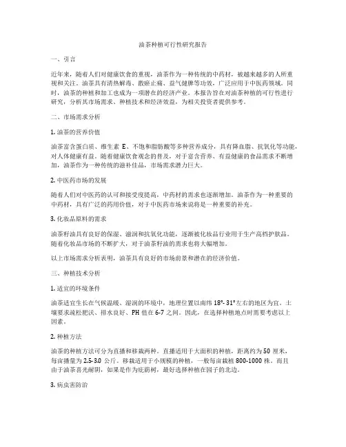 油茶种植可行性研究报告
