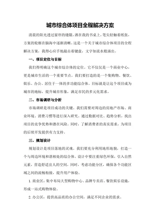 城市综合体项目全程解决方案