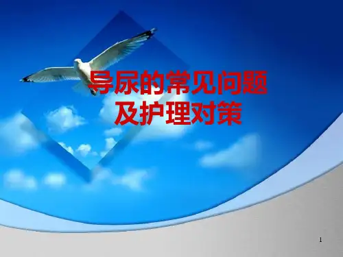 导尿的常见问题及护理对策