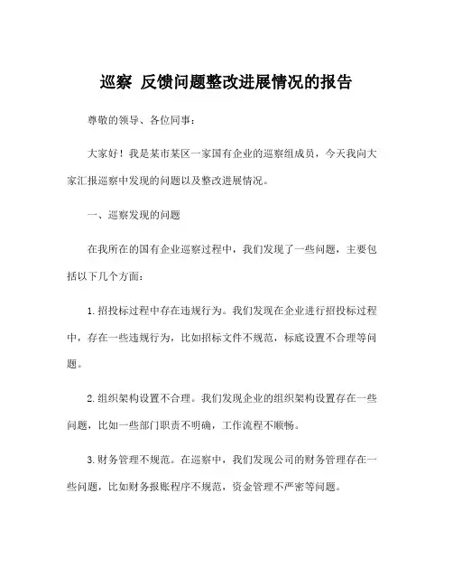 巡察 反馈问题整改进展情况的报告
